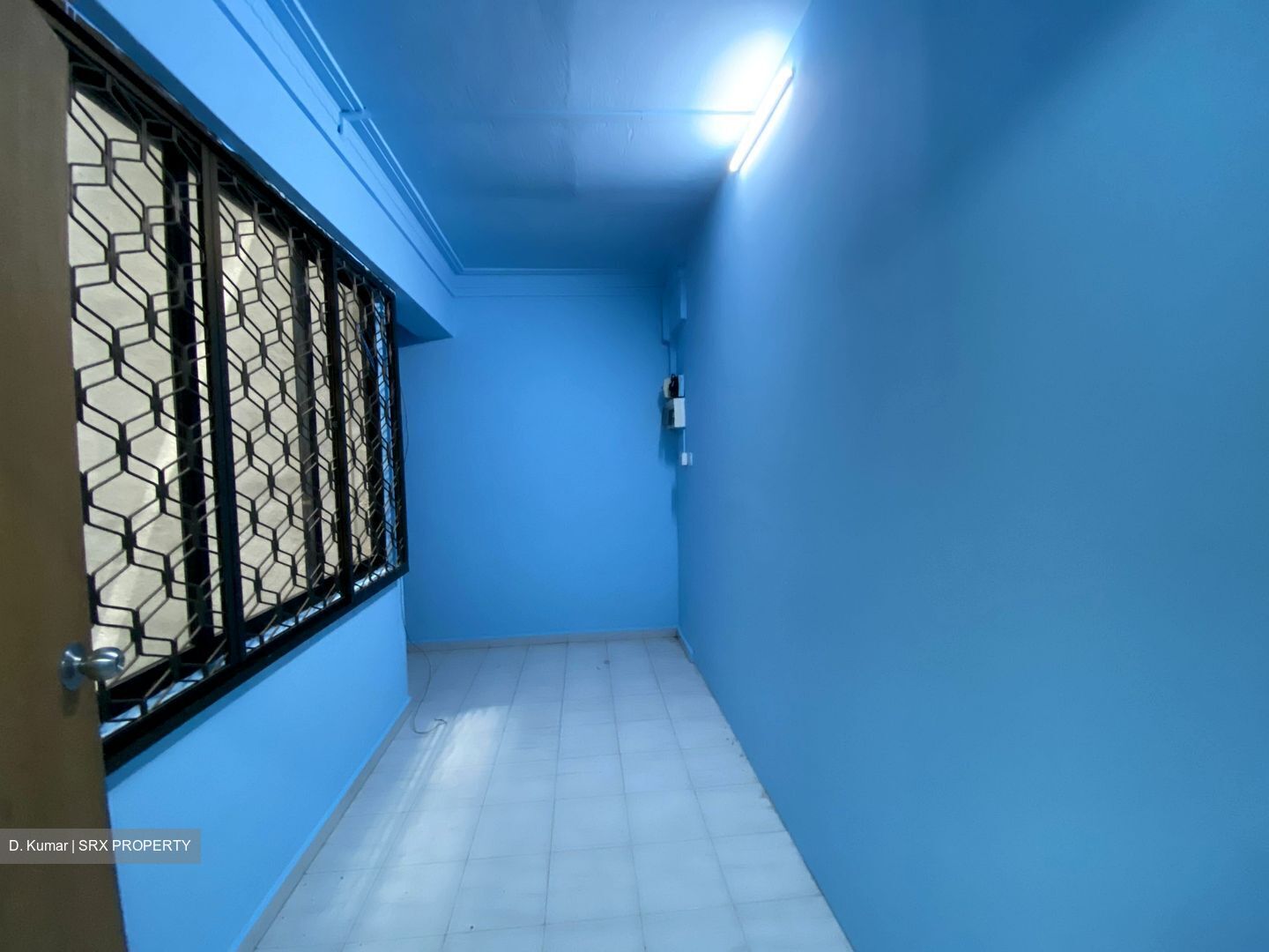 Jalan Besar Plaza (D8), Apartment #325808751